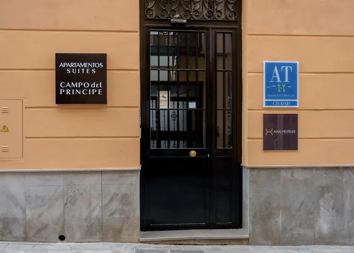  Campo Del